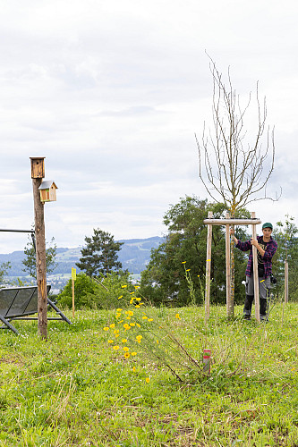 02_QUB_49A7467_gd_1800_Foto_Nik_Spoerri